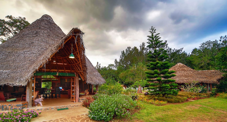 Elephant Valley, Kodaikanal 5